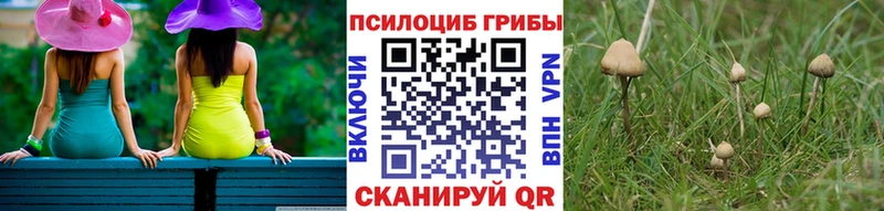 где найти наркотики  Кущёвская  Псилоцибиновые грибы MAGIC MUSHROOMS 